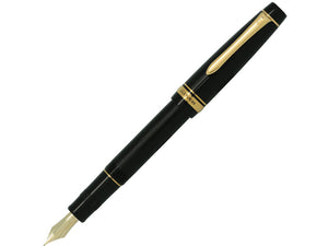 Pilot Justus 95 Resin Fountain Pen Medium 14kt Adjustable Nib (#60592)